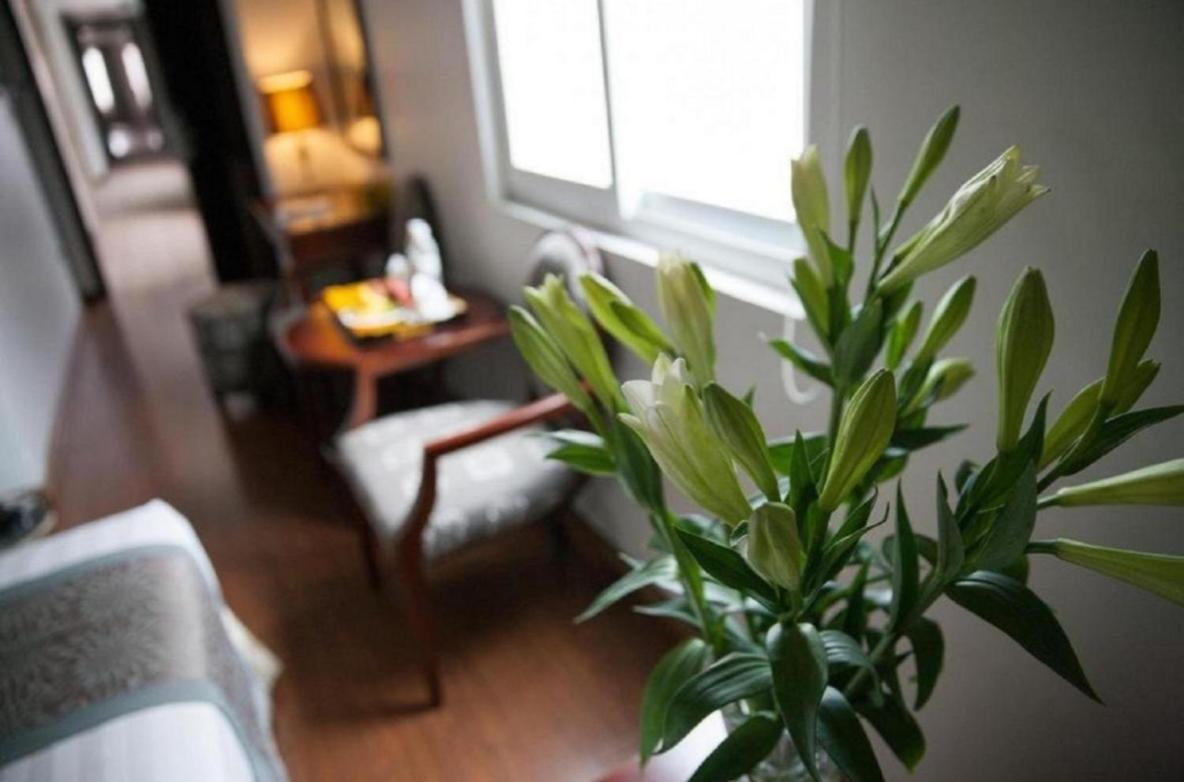 Skylark Boutique Hotel 河内 外观 照片